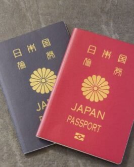 Buy Real Japanese Passport